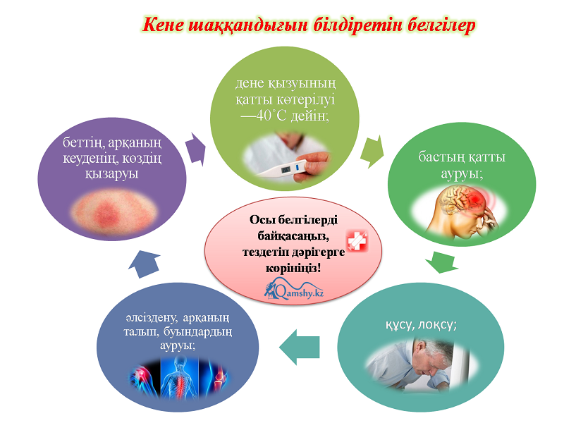 Кене туралы презентация